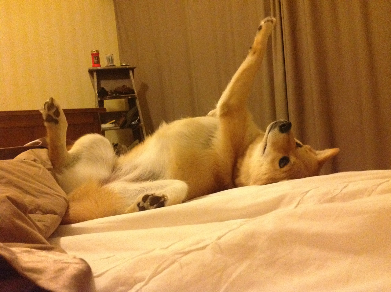 爱游戏电竞官网-高校体育学科交叉融合课程开发与管理研究，体育多学科融合案例