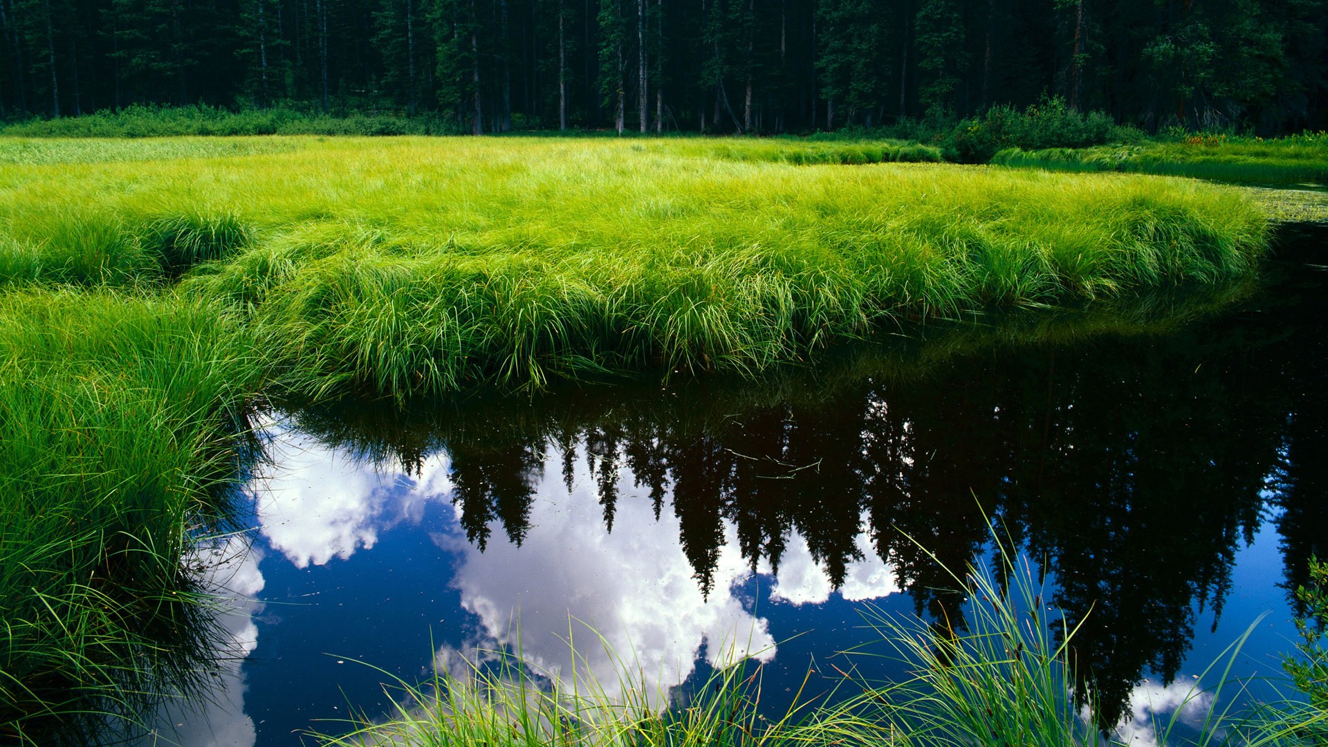 爱游戏电竞-五大联赛是否更注重通过中路断球发起反击，五大联赛再次停摆