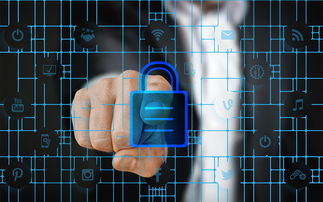 AYX SPORTS-马术运动进校园课程体系初步建立,马术走进校园合作方案