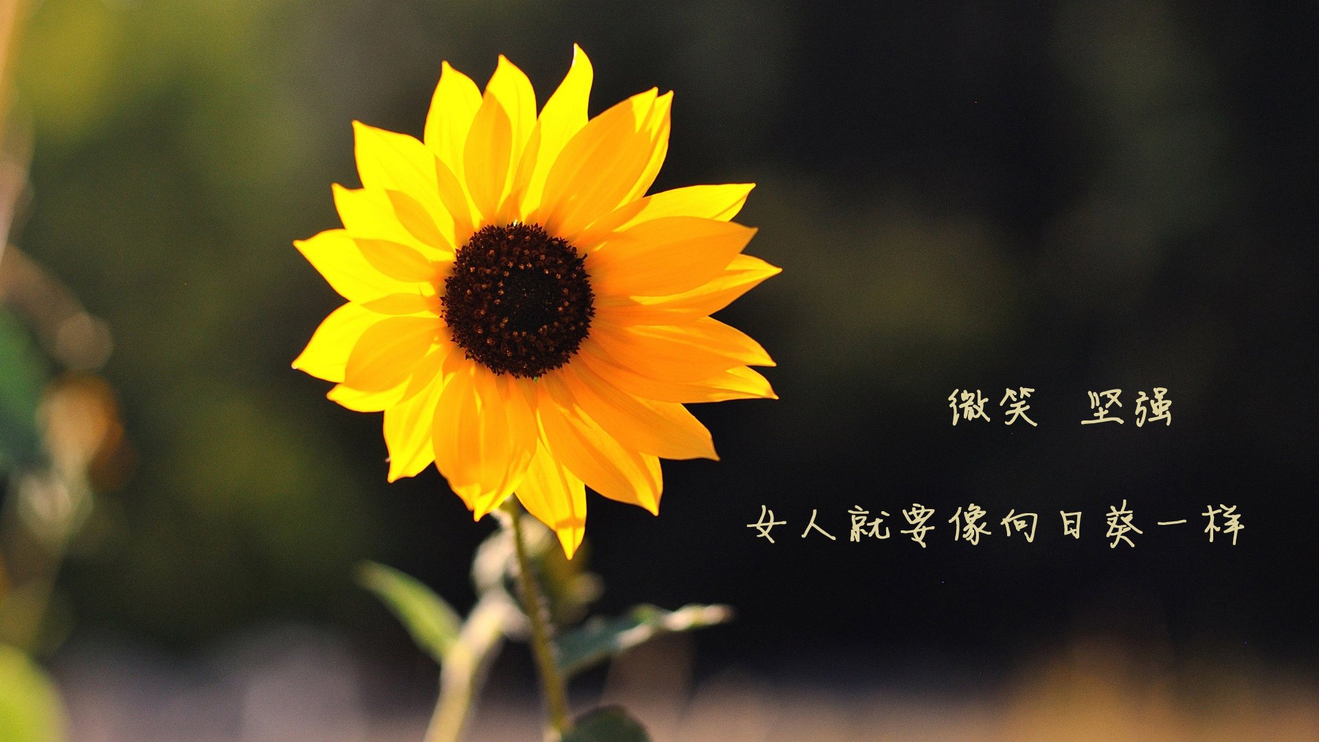 爱游戏电脑版官网-乔治强调防守细节是争冠关键,乔治防守效率