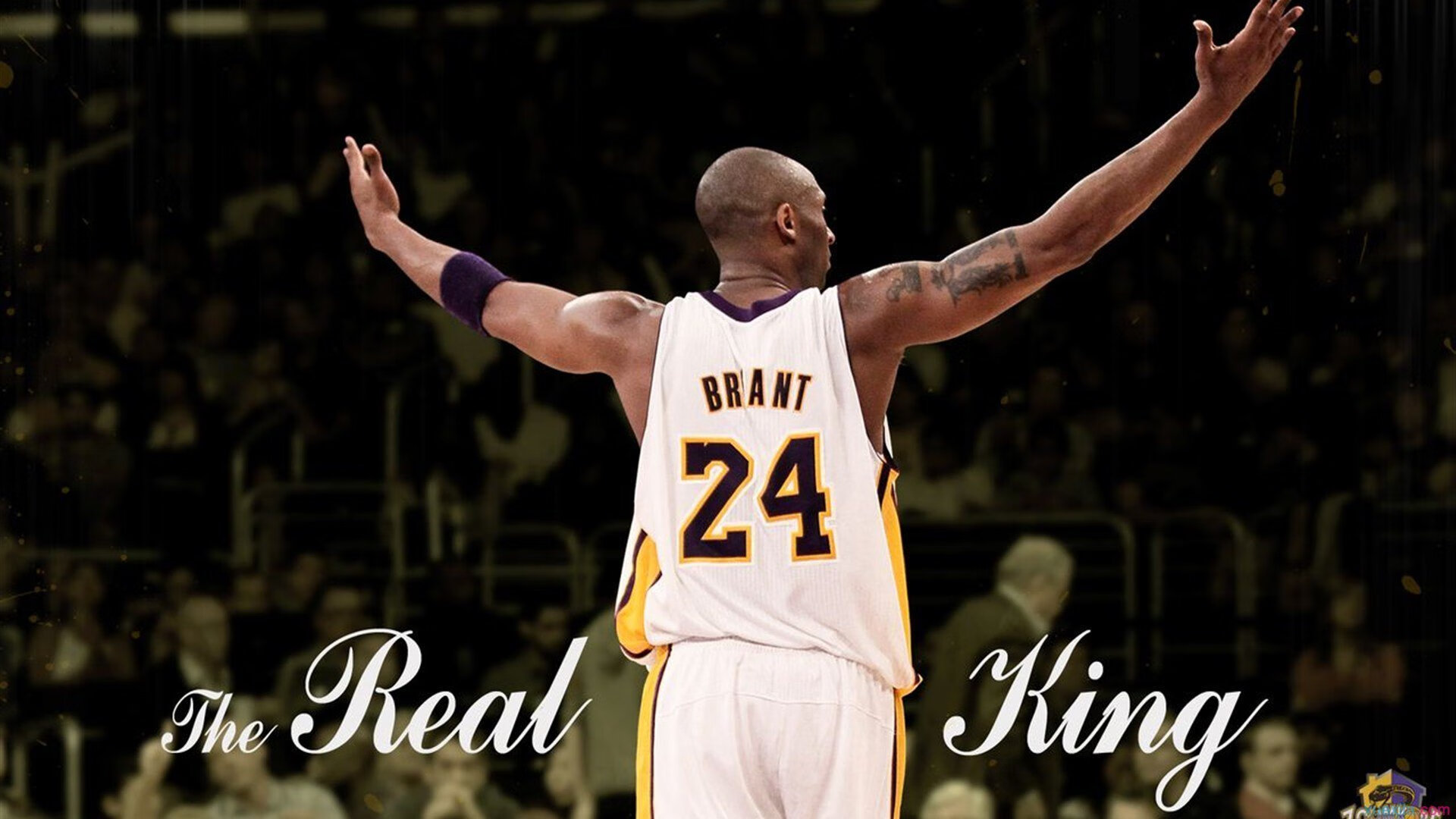 世界杯：心内科门诊迎来“看球心悸”小高潮 医生吁理性观赛