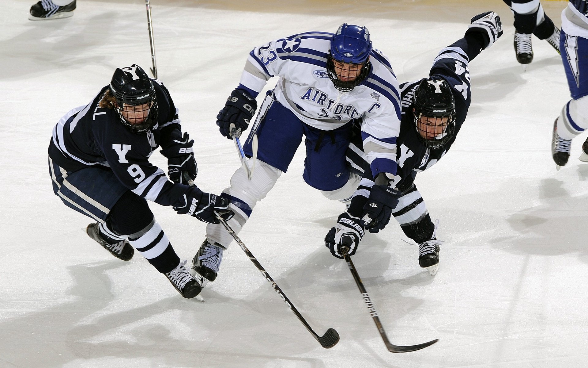 国际武术运动会开幕 中国队在首日套路比赛中包揽四金